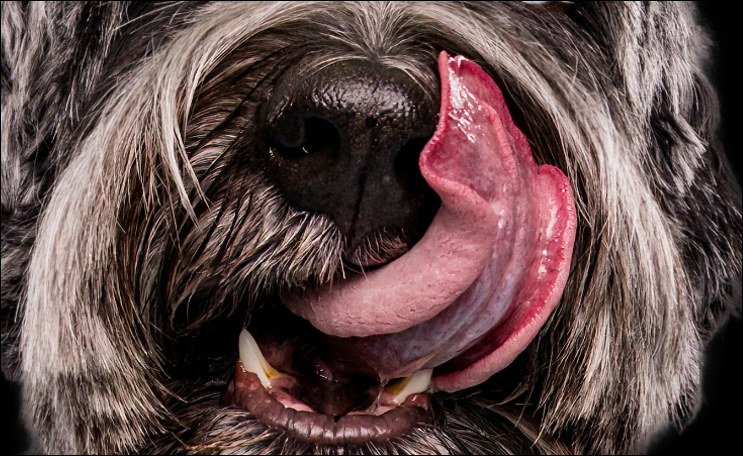 Lorem ipsum dolor sit amet consectetur 2